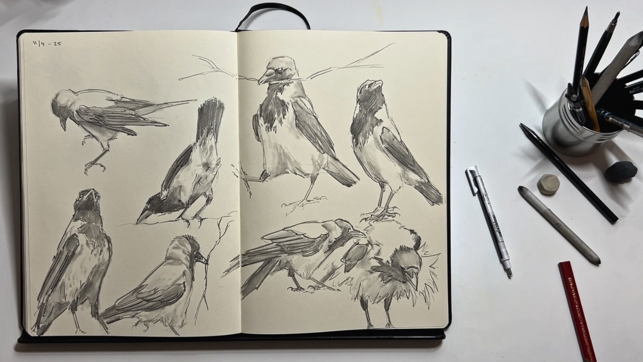 Draw crows with me (no music, no talking + references)