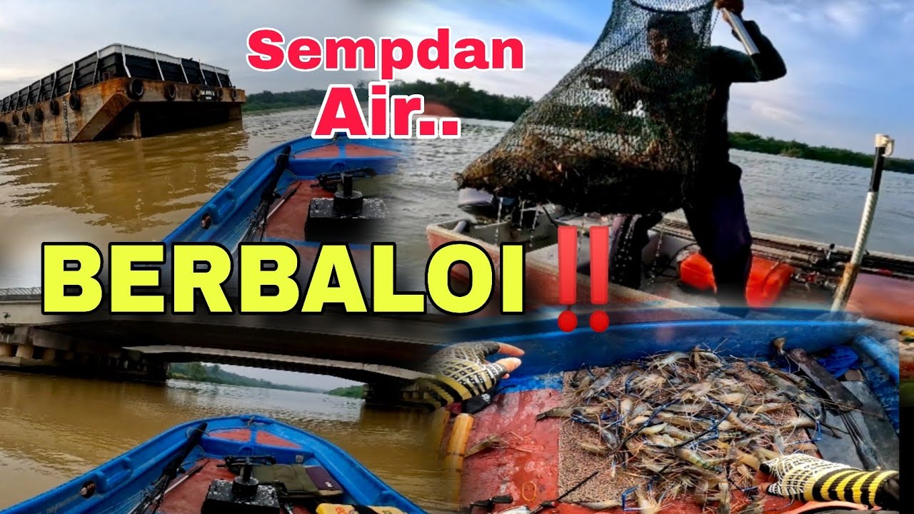 Gasak Udang Galah di Kawasan Sempadan Air‼️