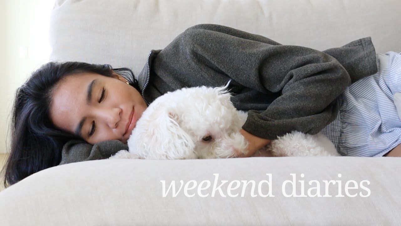 let's try this again | vlog