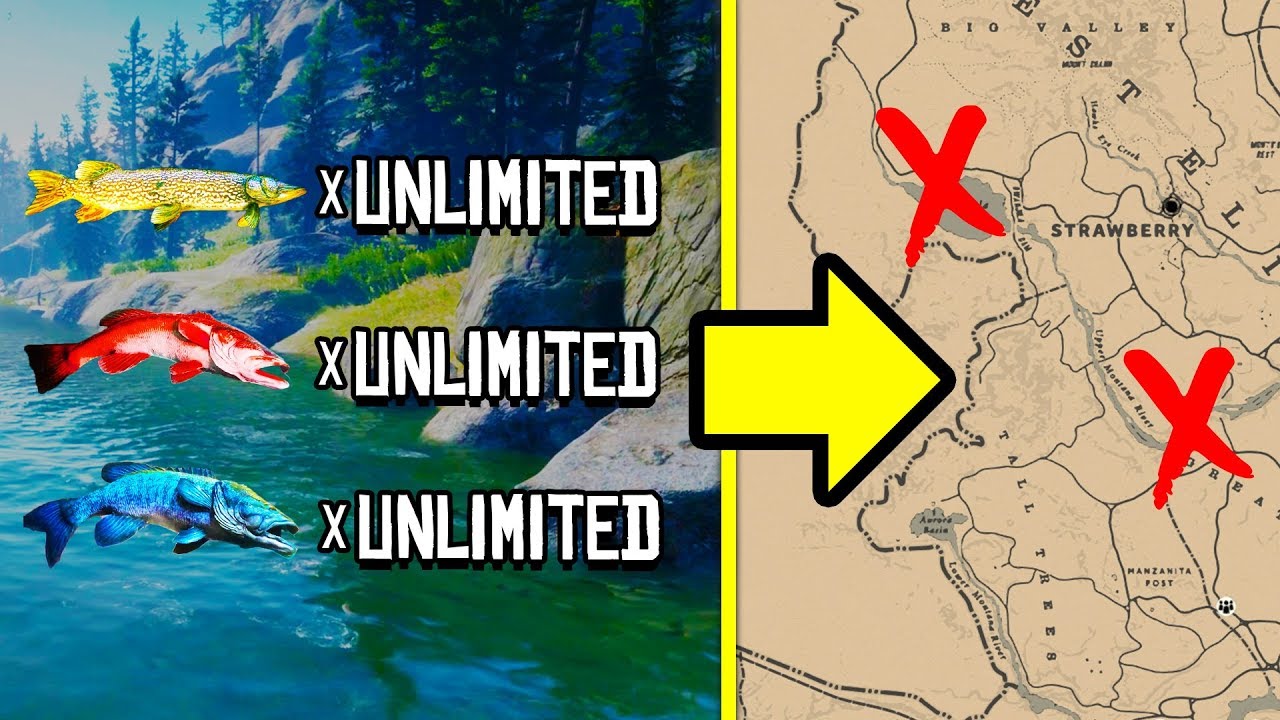 UNLIMITED FISH GLITCH LOCATIONS IN RDR2 ONLINE! Red Dead Redemption 2 Fastest Money Method!