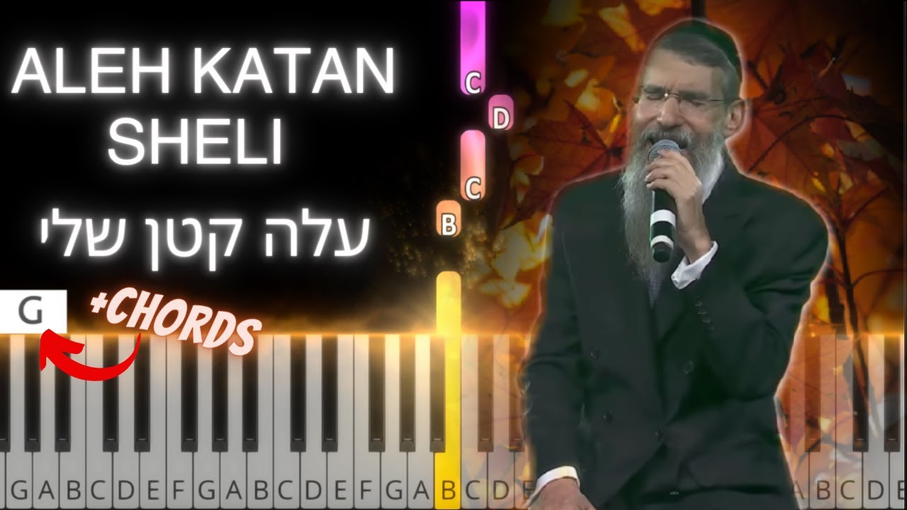 Aleh Katan Sheli tutorial with chords. עלה קטן שלי. פלייבק Avraham Fried