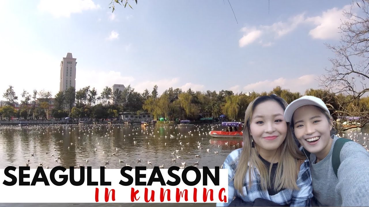 Life in China: Renting a boat during Seagull Season in Kunming