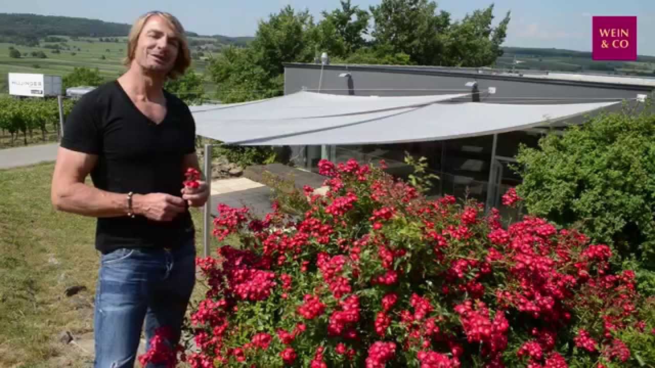Winzer des Monats Juli 2015 - Leo Hillinger [Trailer]