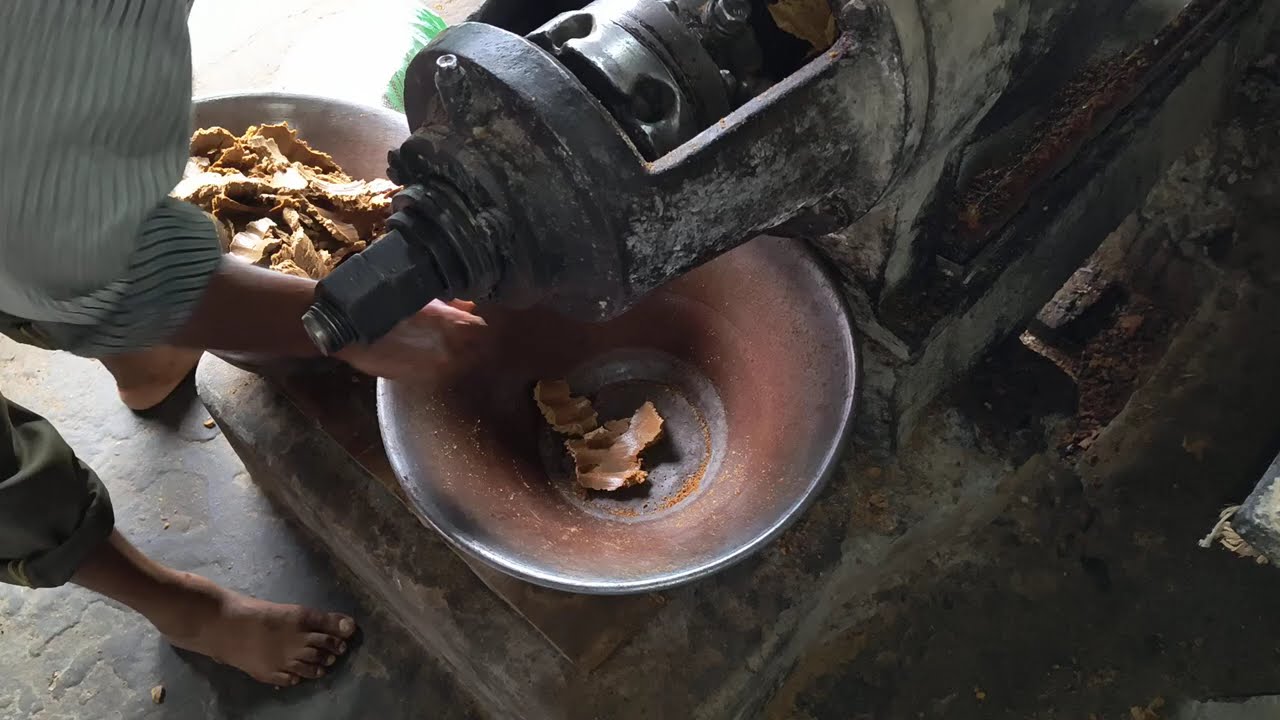 Mustard Oil Grinding | ঘানি | সরিসার তেল | How to make mustard oil | Ghani Machine |  28 June 2025