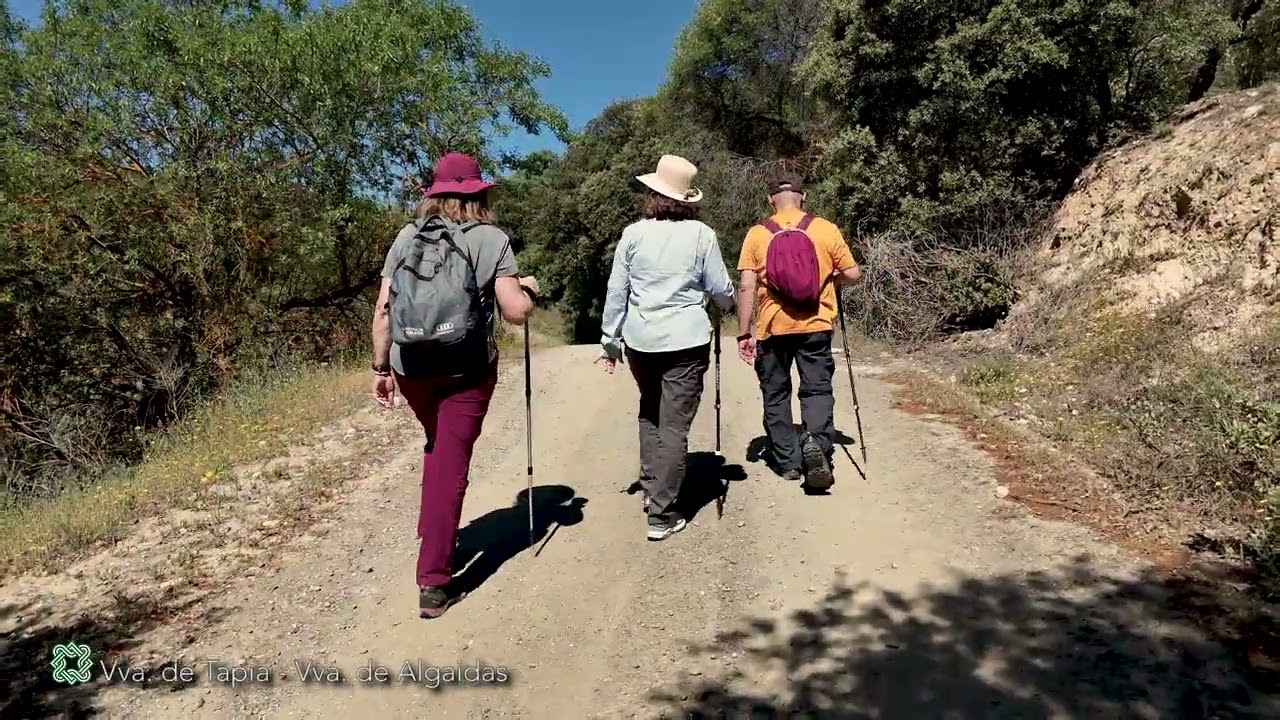 Gran Senda de Málaga (GR 249). Etapa 14. Villanueva de Tapia - Villanueva de Algaidas