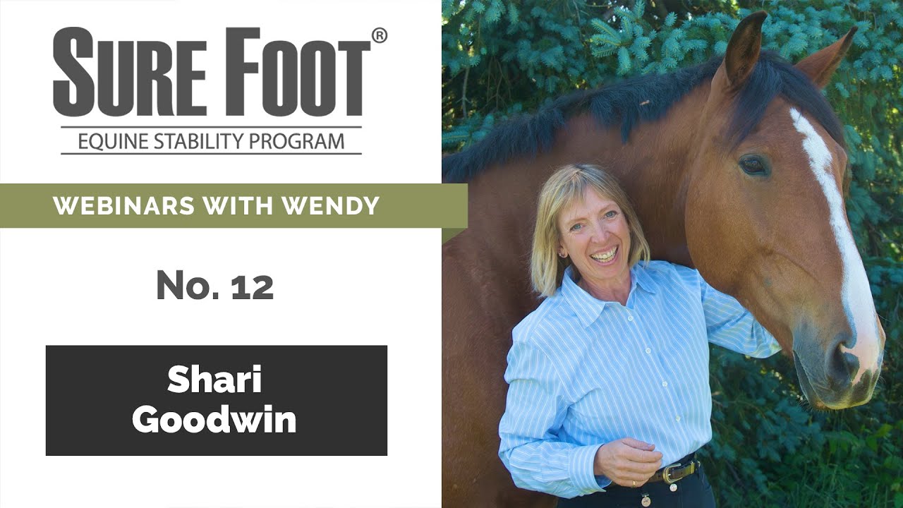 No. 12. Shari Goodwin, Reinventing Greatness and Wendy Murdoch Webinar