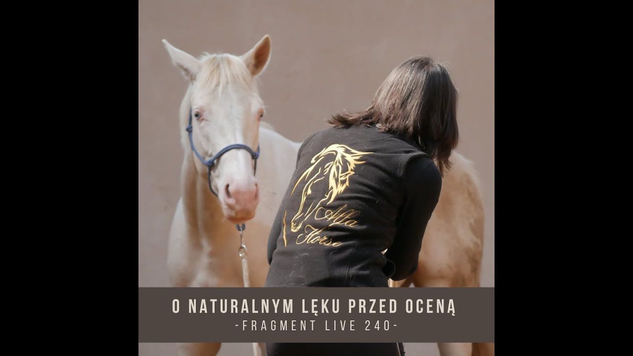 O naturalnym lęku przed oceną - fragment live 240 / Trening koni