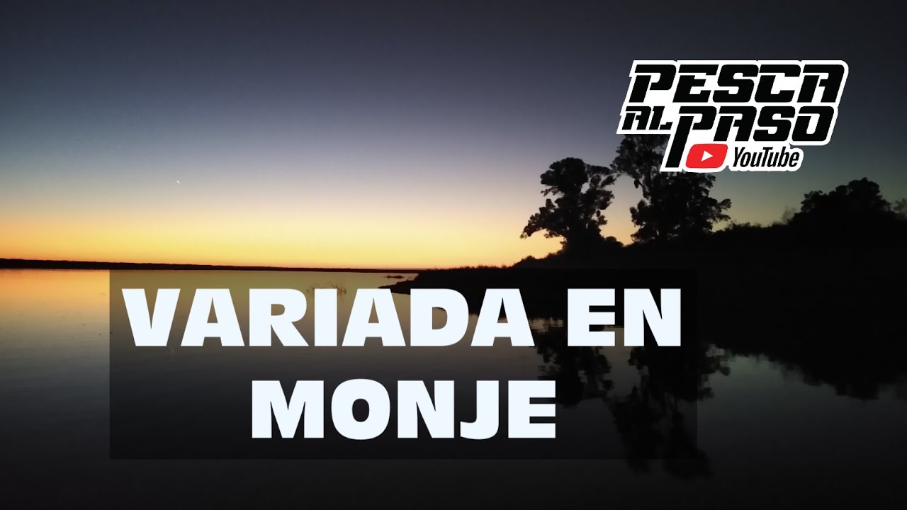 Con de todo en Monje!! (nunca faltan tortugas)