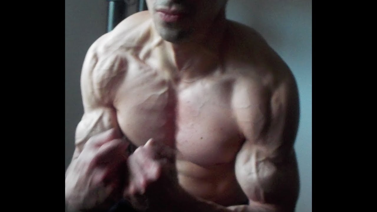 Curling 240kg 590LB + FLEXING FRONTAL DOUBLE BICEPS