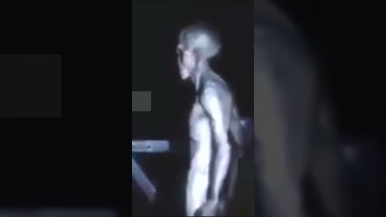 Alien Grey on Tape￼. ￼