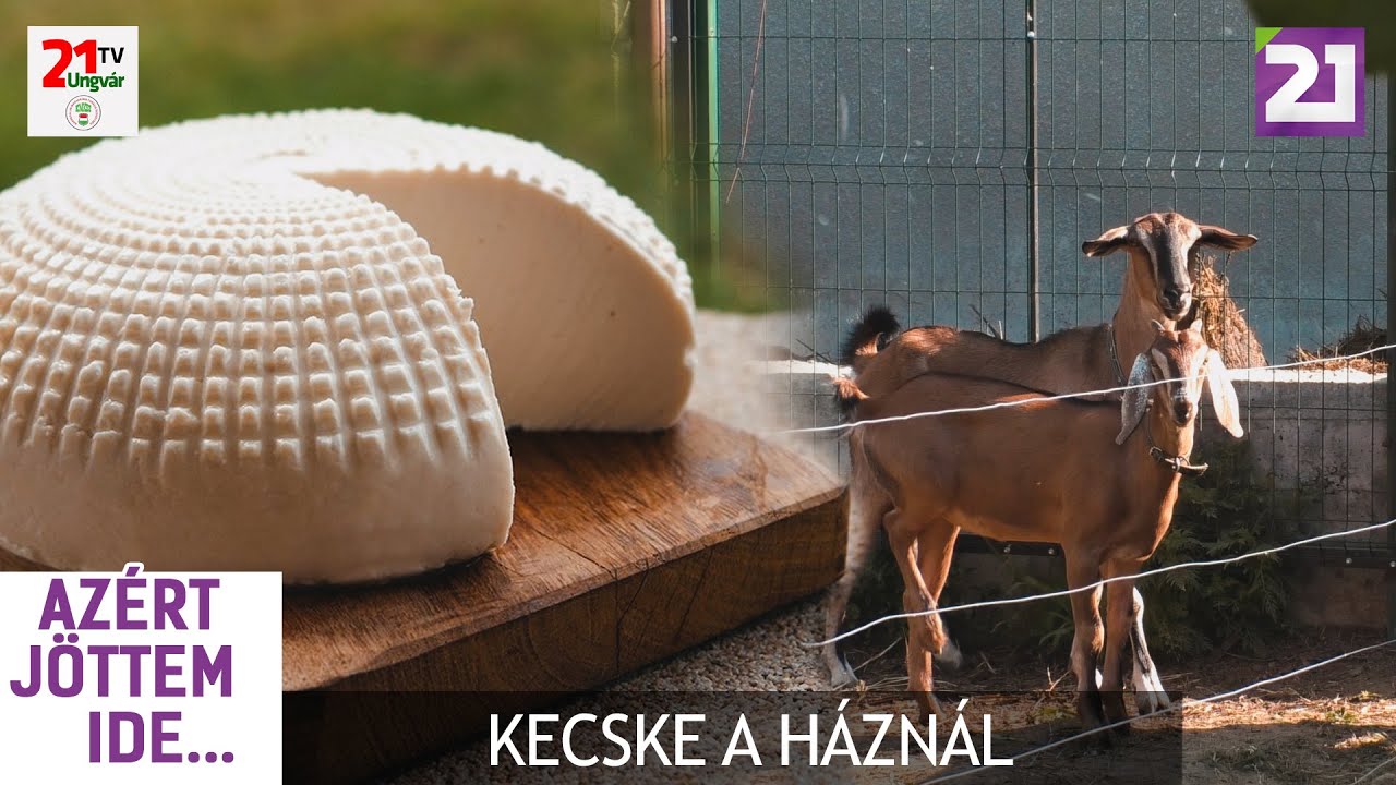 Azért jöttem ide 70.adás - Kecske a háznál (2021.08.22.)
