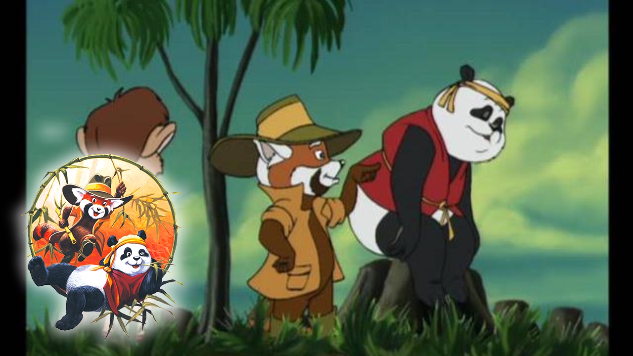 Koala Bears - The Bamboo Bears