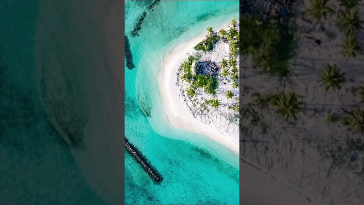 Interaction #travel #youtubeshorts #shorts