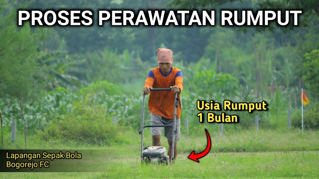 Proses Perawatan dan Pemotongan Rumput Lapangan Sepak Bola BOGOREJO FC | Wajib Lakukan Hal ini