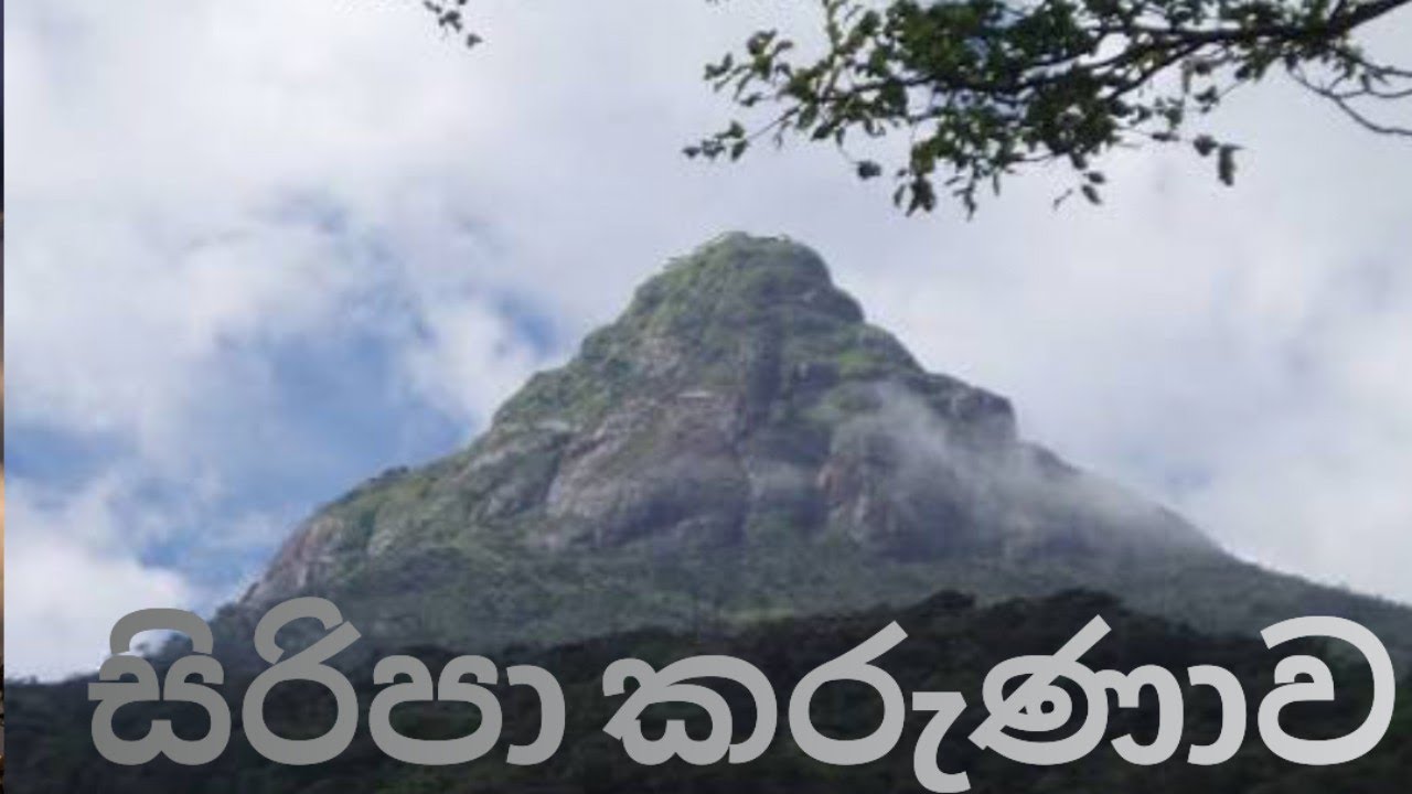 අපි සිරිපාදේ වදින්න ගියා | Adam's Peak Vlog no 36