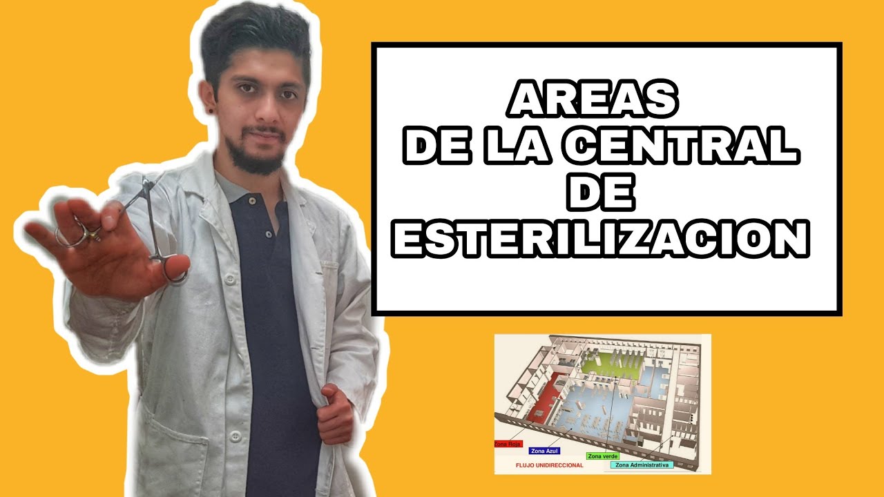 AREAS DE LA CENTRAL DE ESTERILIZACION  ▌El Manual Del Instrumentador
