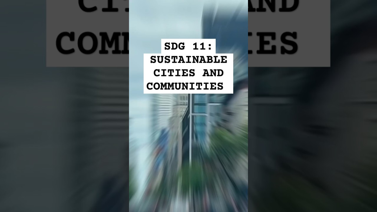 SDG 11: SUSTAINABLE CITIES AND COMMUNITIES #dyfimpact2025 #sdg11