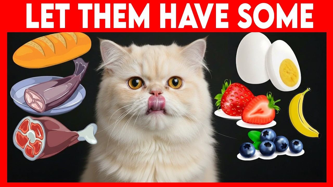 10 Human Foods Cats Actually Need More Than Cat Food