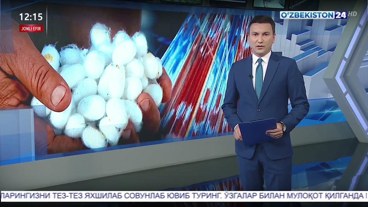 Пилла етиштириш мавсуми бўйича Навоий вилоятидан махсус лавҳа