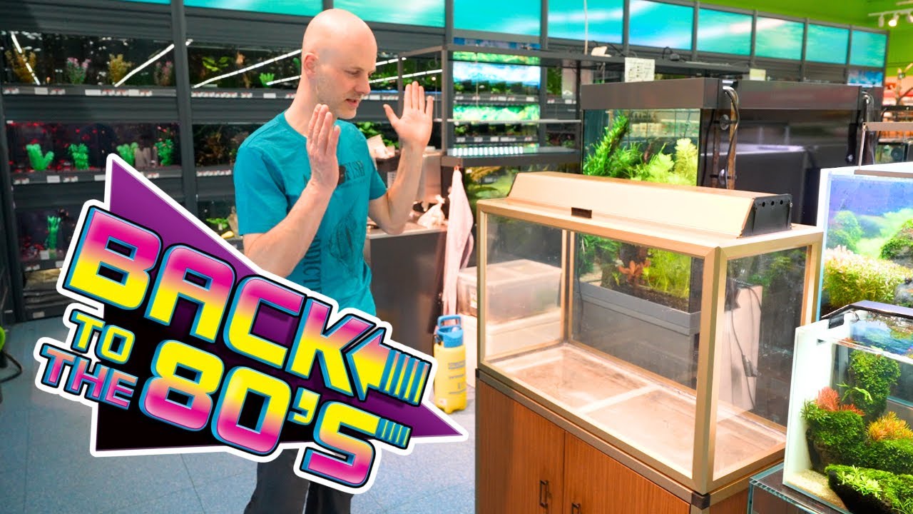 So sah Aquaristik in den 80ern aus – unser Juwel Retro Restomod Projekt