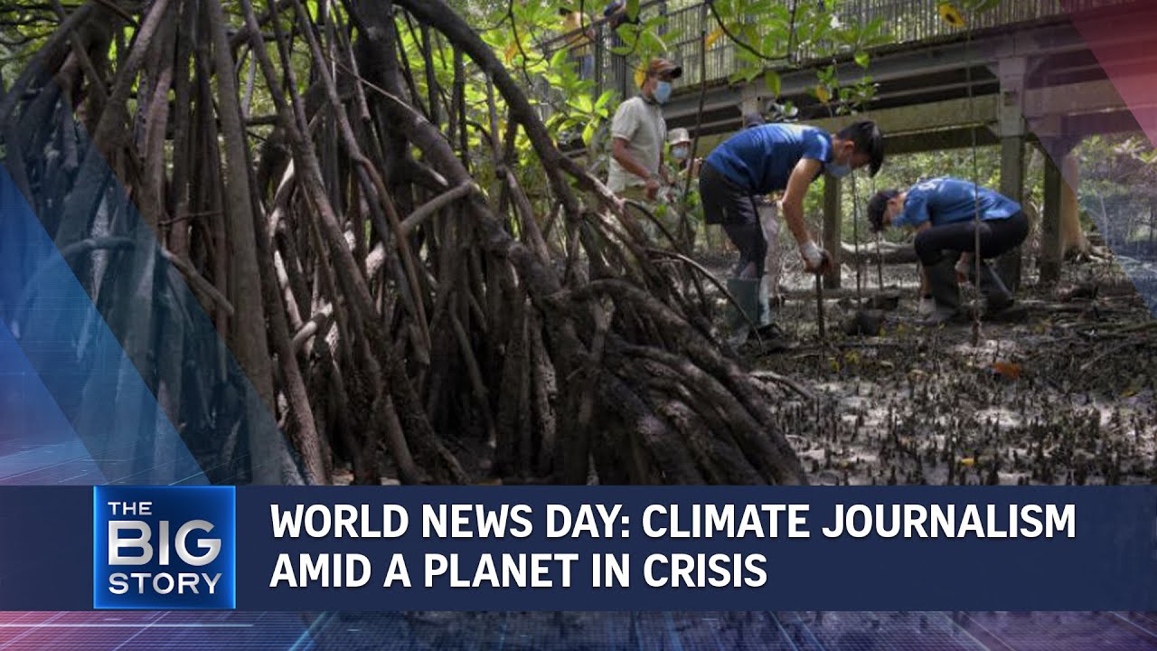 World News Day: How to make climate journalism interesting, engaging? | THE BIG STORY