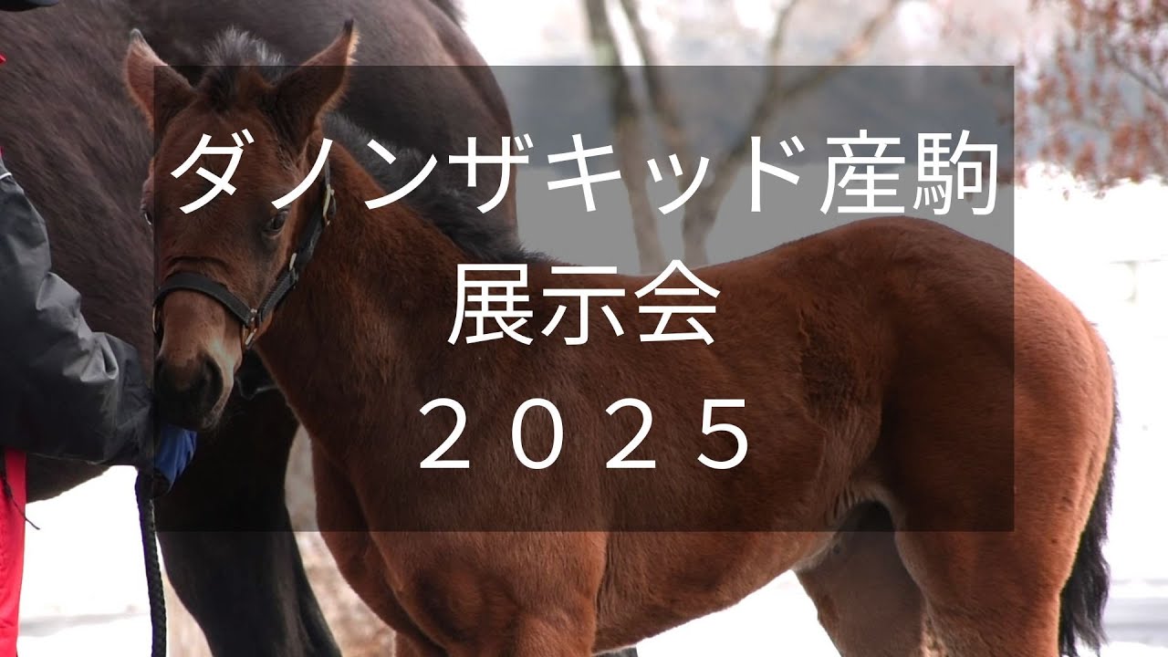 【ダノンザキッド産駒展示会】仏G3馬ダリオールの仔など当歳2頭が登場！