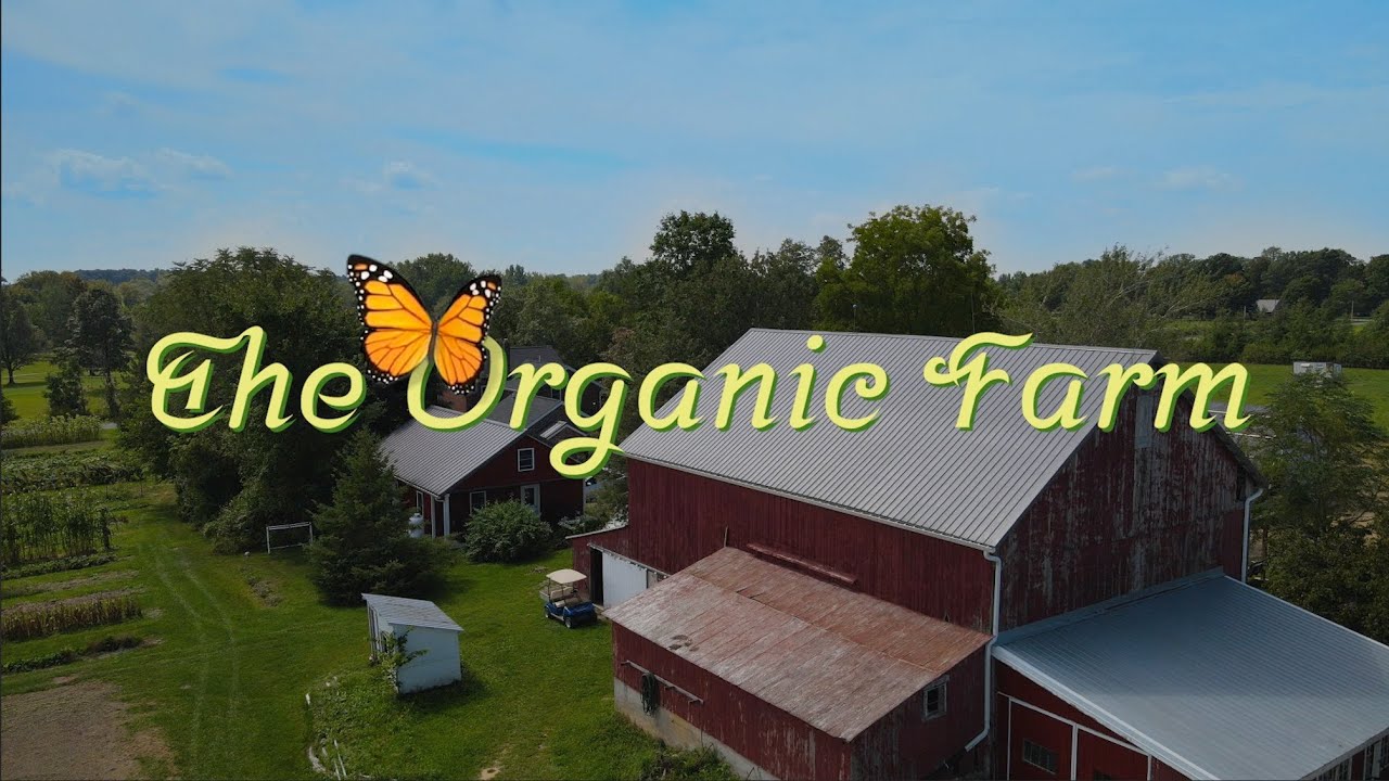 Bluffton, Ohio: Little Riley Creek Organic Farm