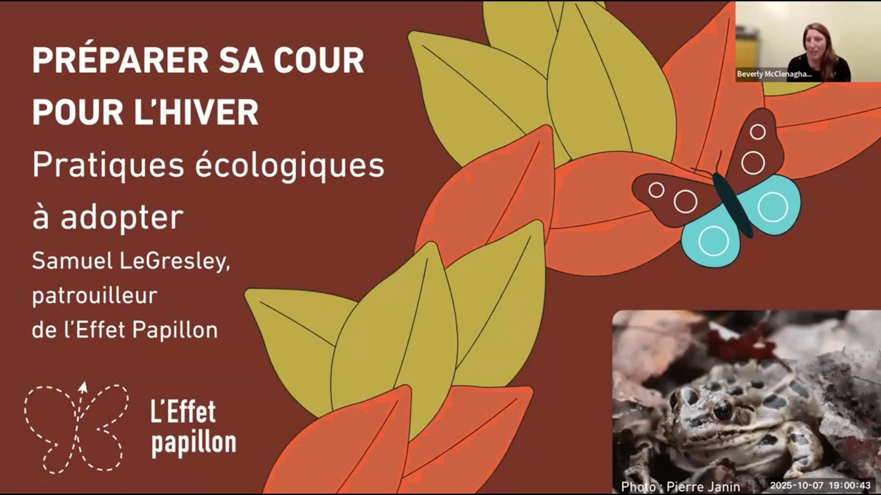 Préparer sa cour pour l'hiver : pratiques écologiques à adopter