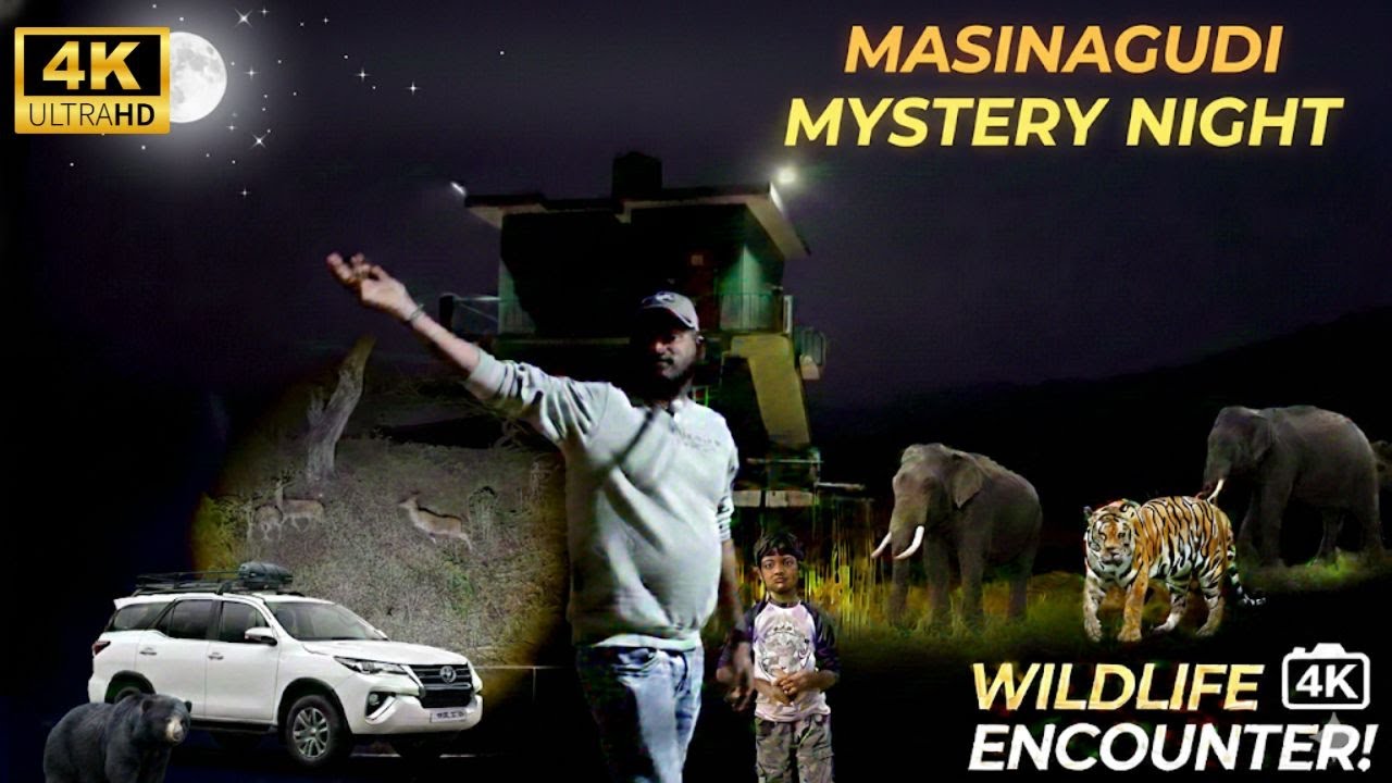 மசினகுடி காட்டில் Night Stay 🌙 | Stunning Maravakandhi Viewpoint | Wild Jungle Experience