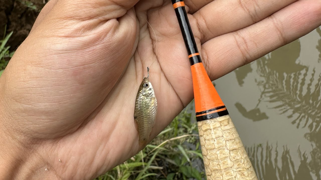 This Is My First Micro Fishing Trip