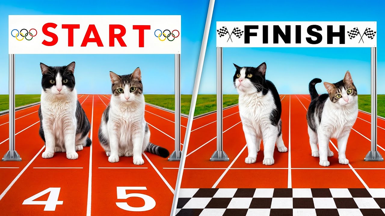 Tail of Two Cats: Who&rsquo;s the Speediest Sprinter?