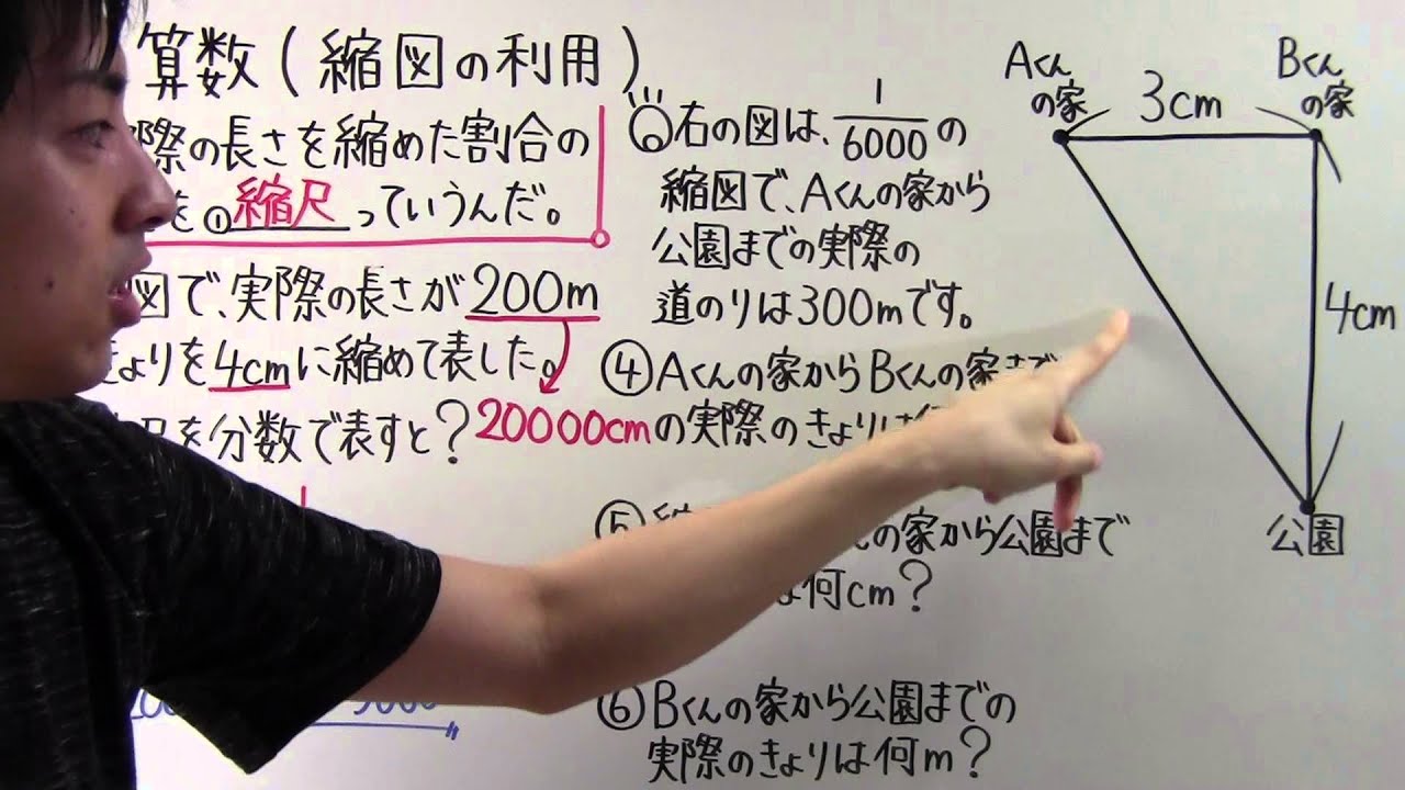 【小６　算数】　　小６－２０　　縮図の利用