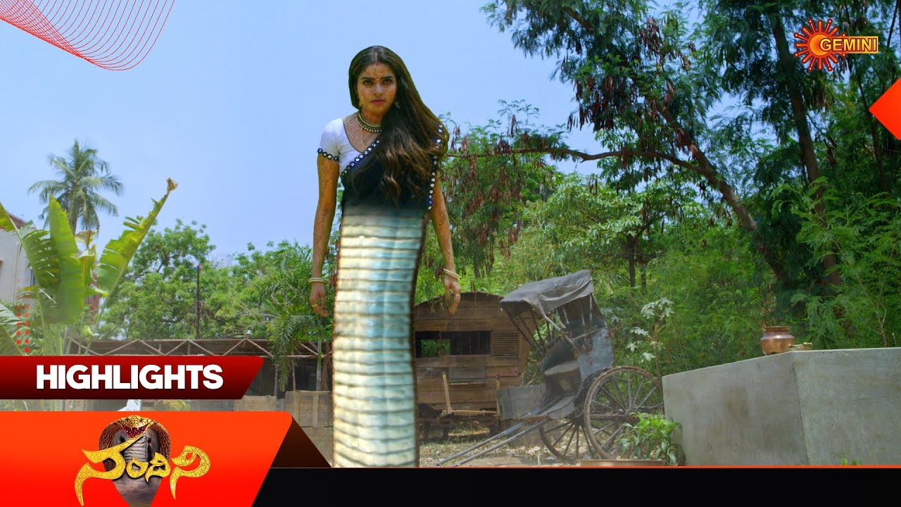 Nandini - Highlights of the day | Watch full EP Sun NXT | 12 Mar 2026 | Gemini TV