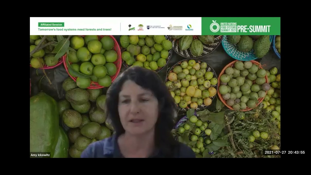 Pre-Summit of the UN Food Systems Summit: Tomorrow&rsquo;s food systems need forests and trees!