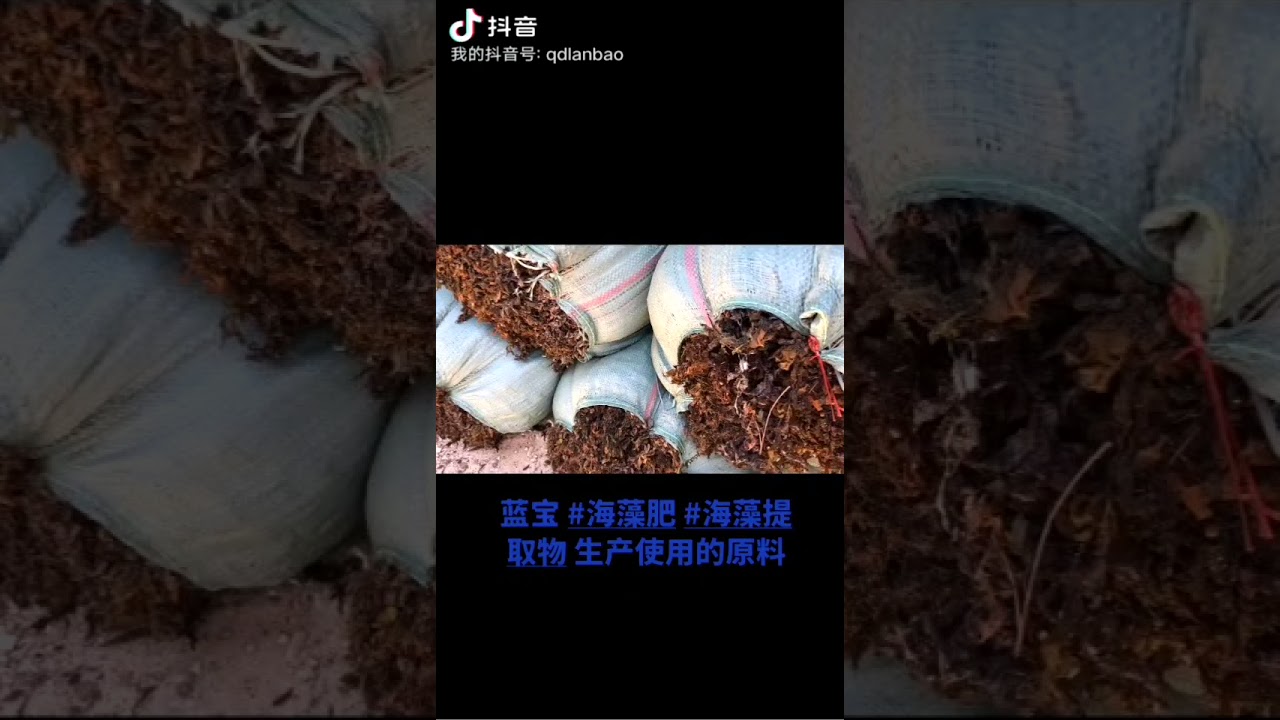 blue alga seaweed extract