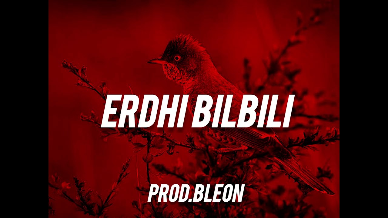 Erdhi Bilbili | Deep House EDM Remix (Bleon)