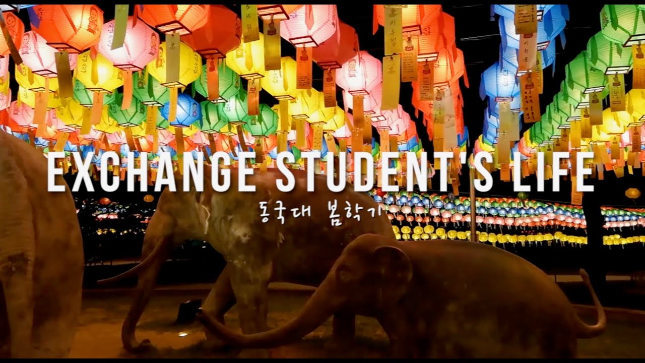Exchange Student's Life in South Korea | 2019