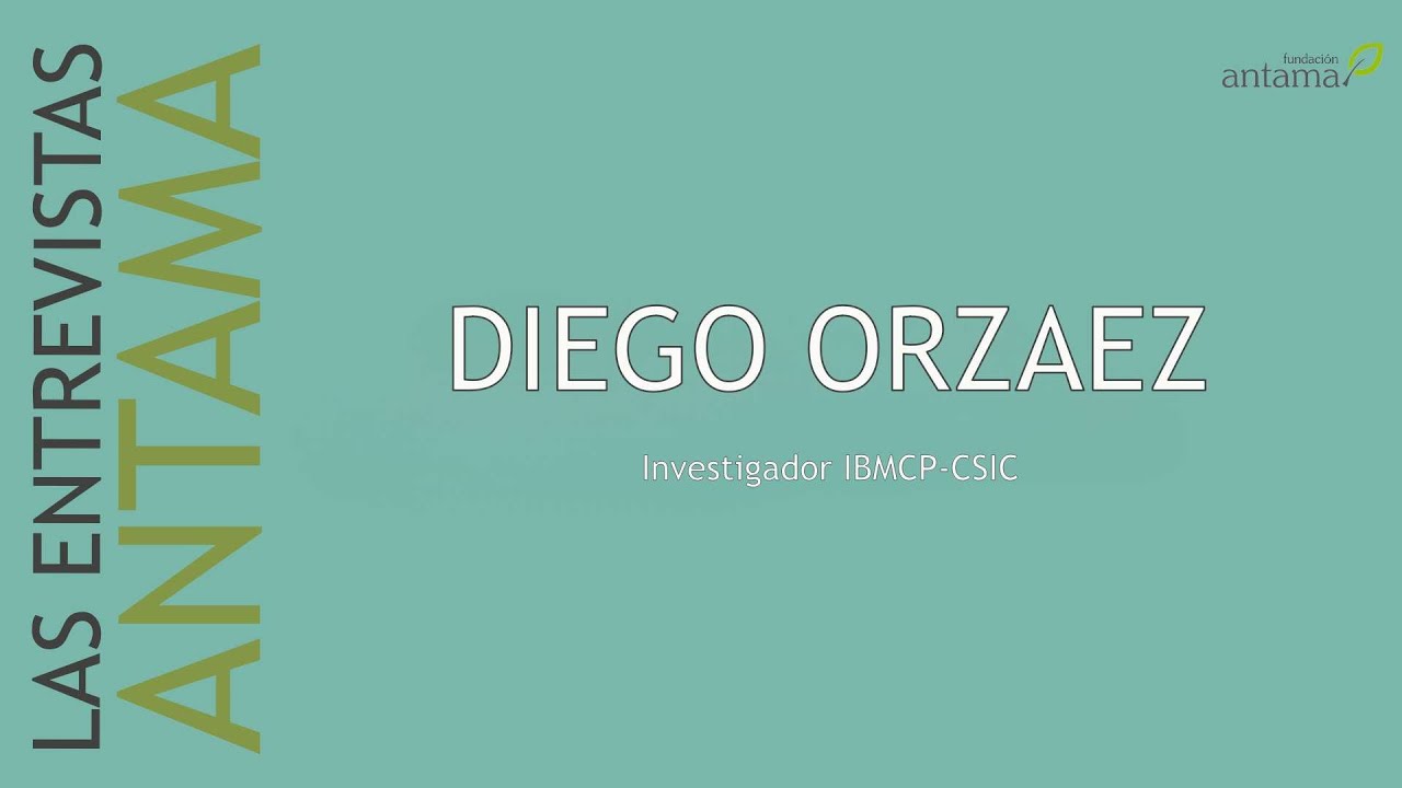 La importancia de la mejora genética y la innovación en nuestra agricultura presente y futura
