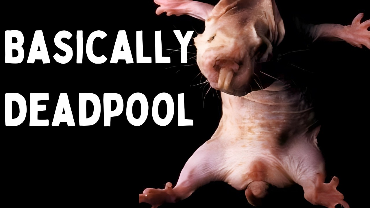 An Animal So Strange Scientists First Didn't Believe It