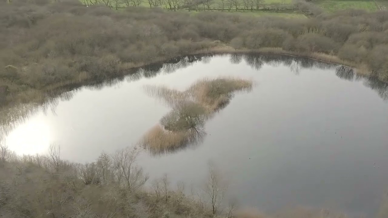 Trimsaran lake  