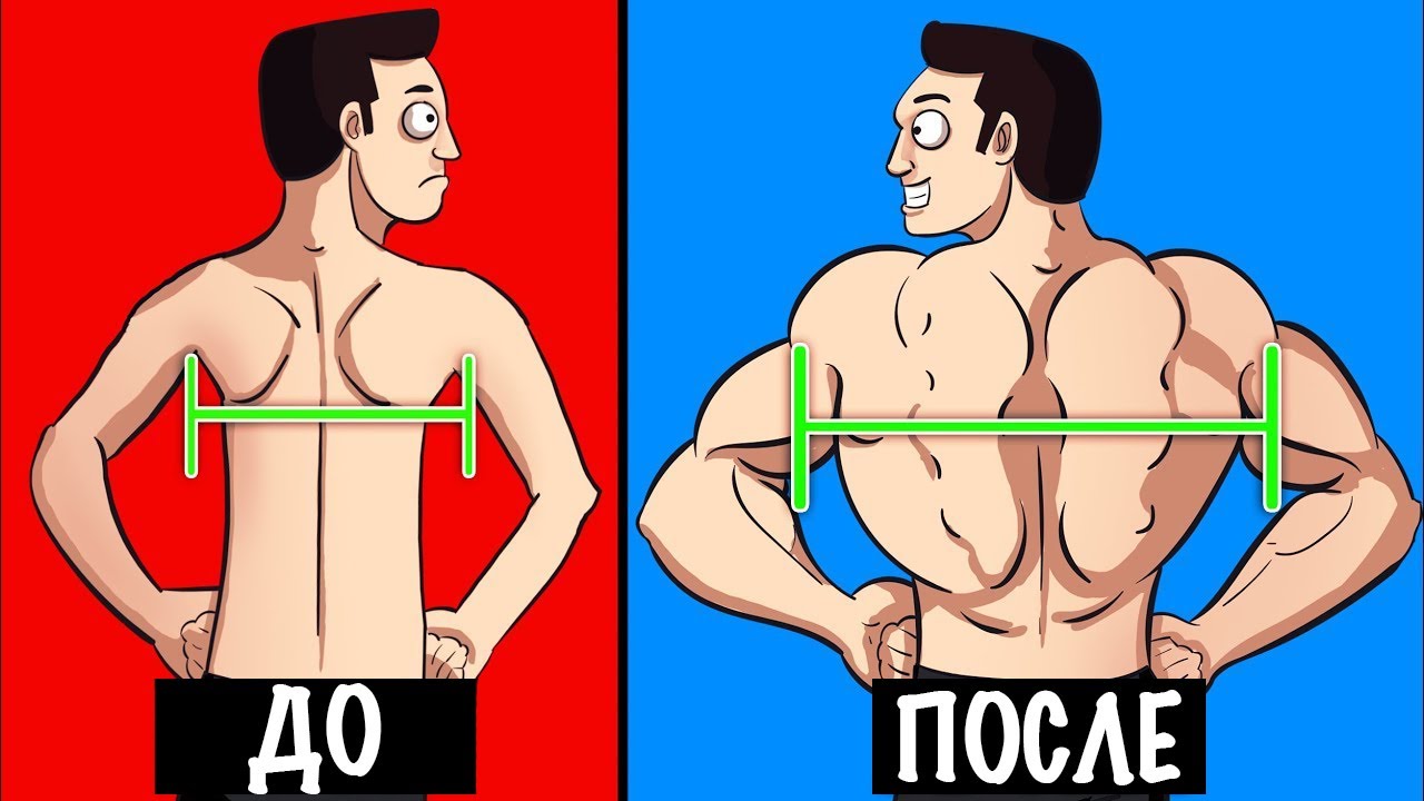 ШИРОКАЯ СПИНА. 10 СТРАТЕГИЙ ТРЕНИРОВКИ