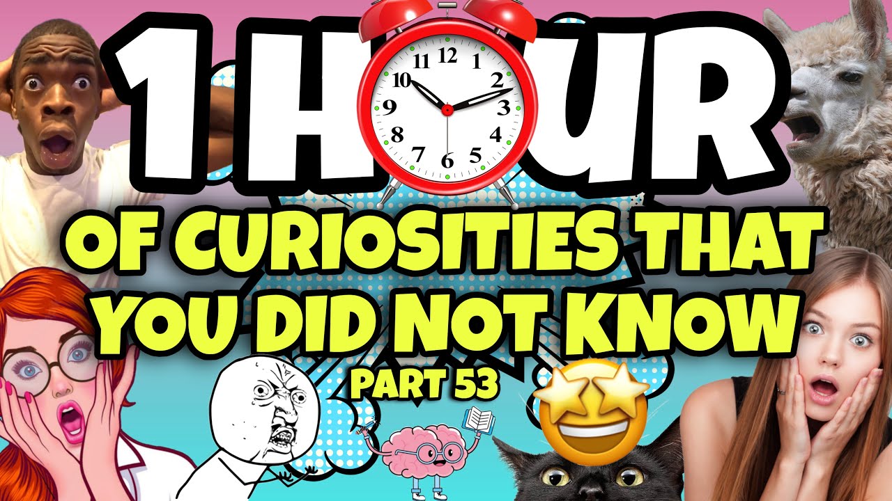 1 HOUR OF CURIOSITIES AND THINGS YOU DIDN'T KNOW 🧠⏰ #53 