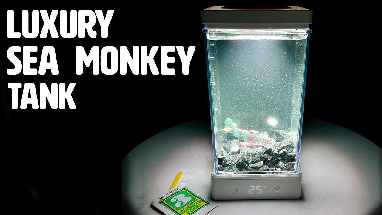 Luxury DIY Sea Monkey Tank