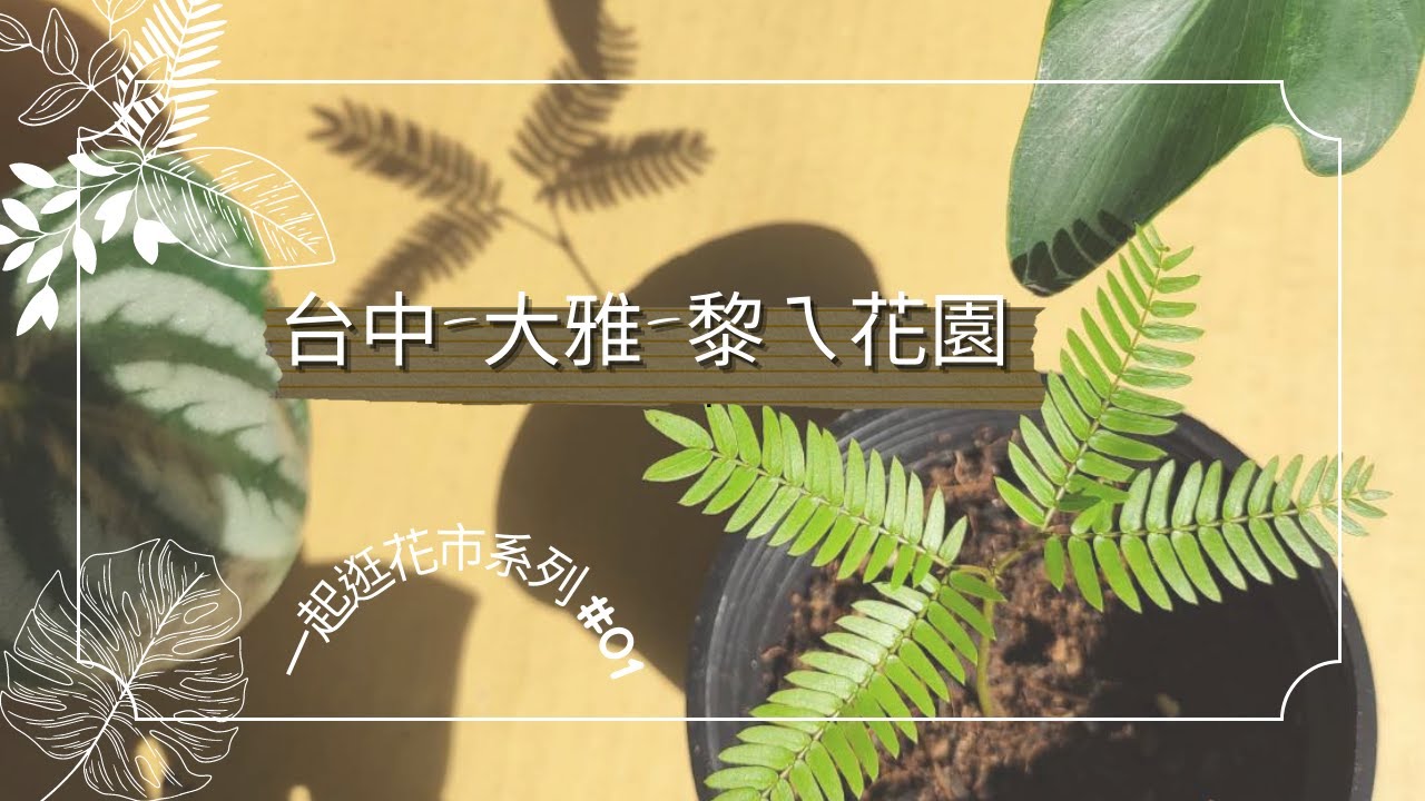 2023中部花市必逛/黎ㄟ花園/大雅花市/高CP值買到剁手/適合新手逛的花市/綠手指養成紀錄