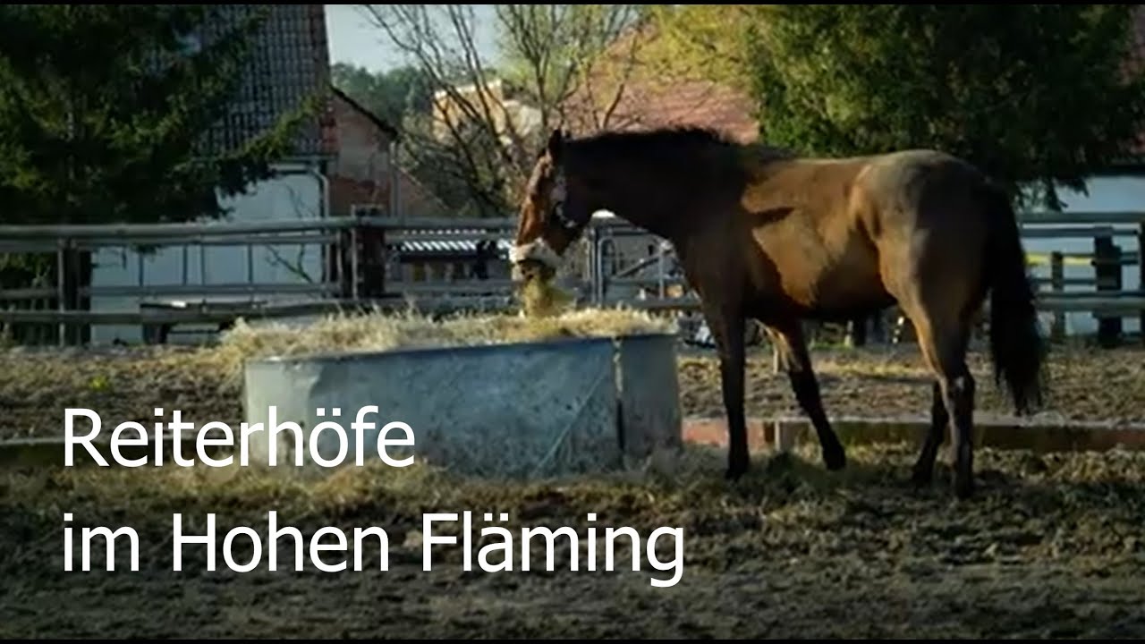 Reiterhöfe im Hohen Fläming