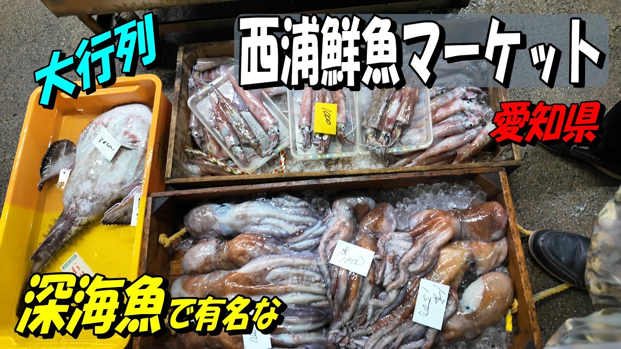 【西浦鮮魚マーケット】過去一番の賑わいで魚の争奪戦に敗れてしまいました。深海魚で有名なこの市場。水揚げされたばかりの深海魚たちをご覧ください。