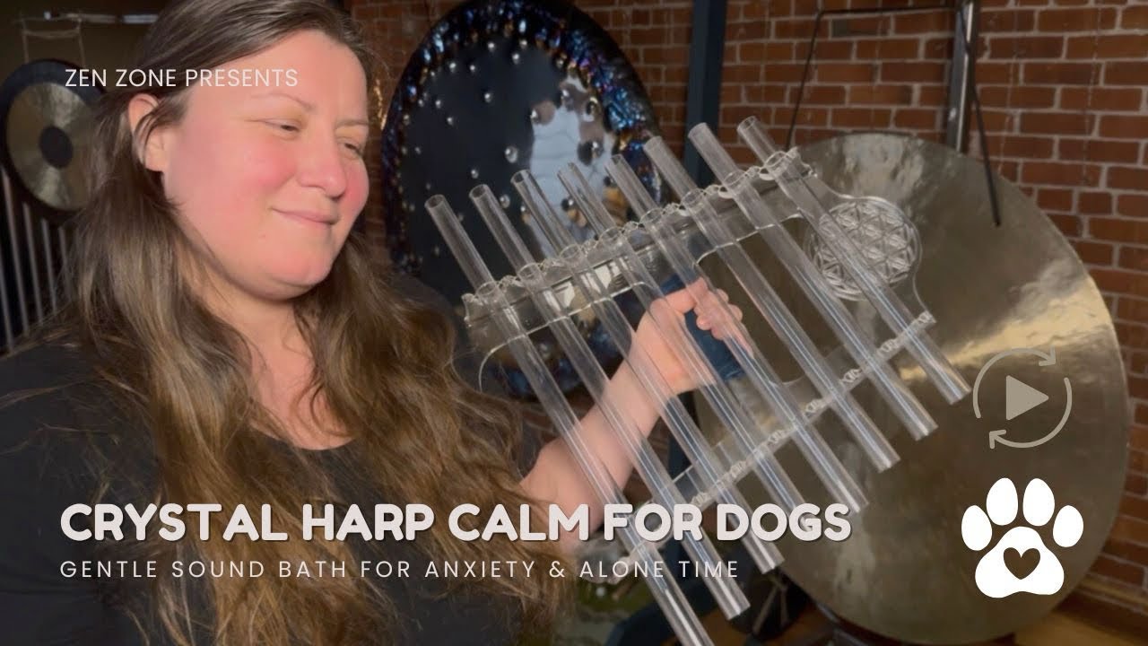Crystal Harp Calm for Dogs | Gentle Sound Bath for Anxiety & Alone Time