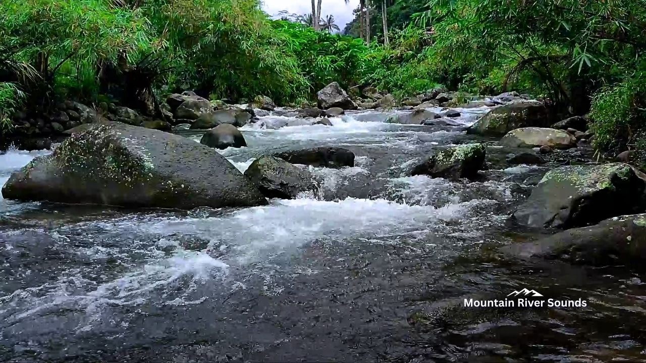 Fall Asleep ast with Calm River Sounds Sleep ASMR Natural White Noise