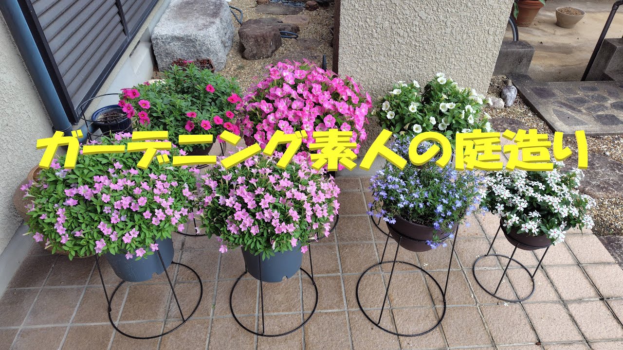 ガーデニング素人の庭造り