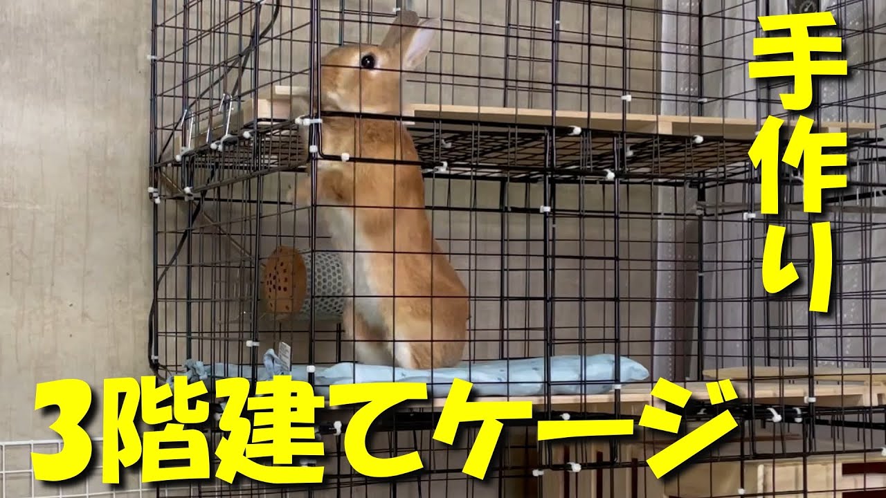 うさぎの誕生日プレゼントに3階建てケージを手作りしてみました　(No.259)